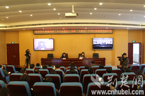 湖北开展医疗器械五整治专项行动|药品|医疗