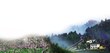 宁乡县 采茶赏花两相宜|景区|温泉