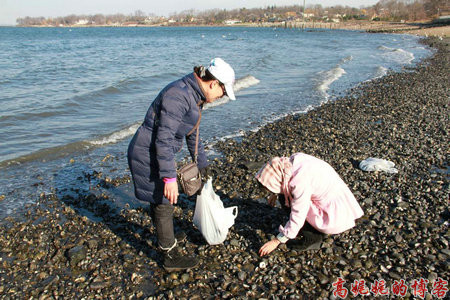 生蚝是什么东西海鲜_生蚝和牡蛎有什么区别_旌节是什么东西