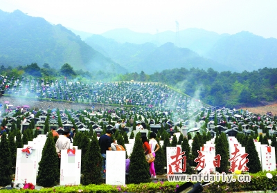 清明假期,仅孖龙山陵园便接待了近4万人次的拜祭群众. 王良珏 摄