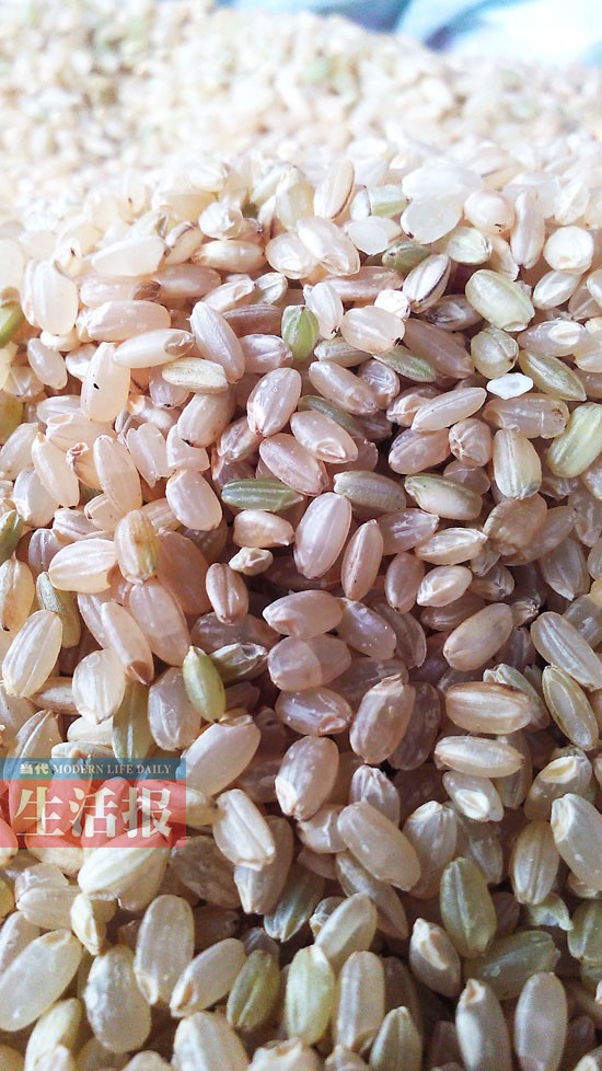 广西创糙米鲜湿米粉 市民最快6月份吃上糙米米