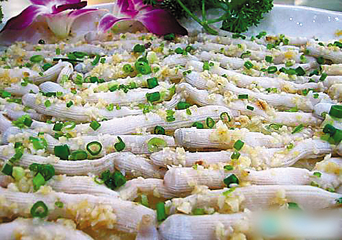 海肠,海蚯蚓|海鲜|三亚_凤凰历史