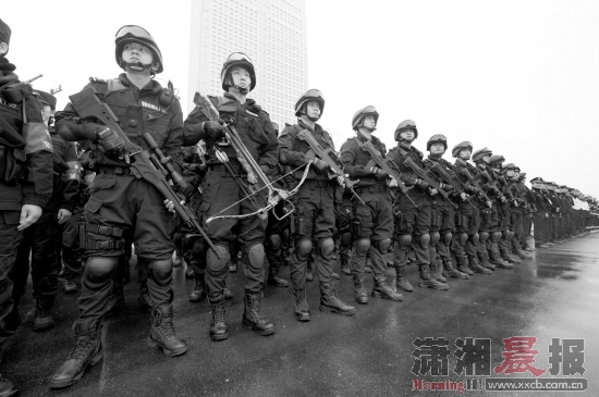 刑侦支队民警、警犬:协助排爆。