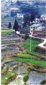 　　炊烟袅袅，山路弯弯。洗马乡生态文明村农舍、梯田错落有致。刘尚文 摄