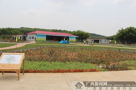 风景秀丽的绿坤山生态园区。广西新闻网记者 许乾雷 摄