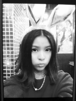 六只豚鼠与一只兔子|小吴|豚鼠_凤凰资讯