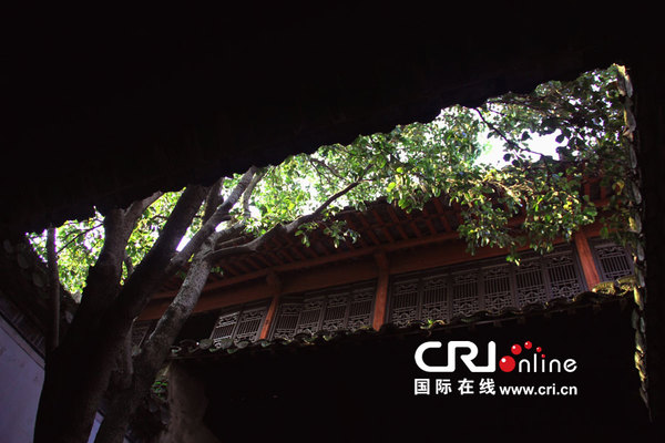 天井是歙县古民居最有特色的布局之一,天井既能体现歙县人四水归明堂的聚财理念,同时也能改善屋内光线。图为歙县斗山街一户人家的天井,室内聚水处还有一棵桂花树长出屋外 摄影:徐朝清