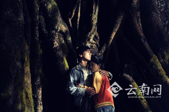 大榕树下的爱情