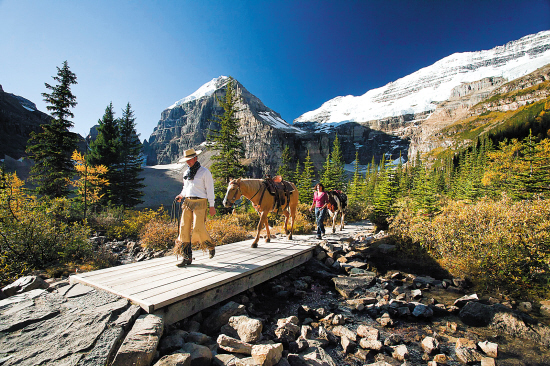 加拿大BC省在四大牧场|度假村|游客