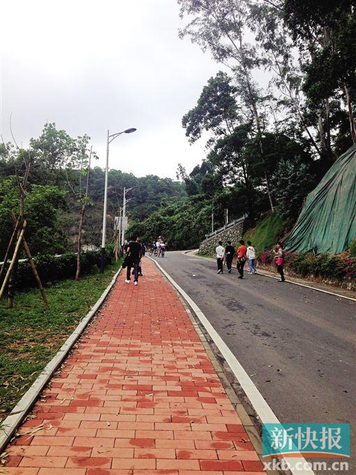 ■火炉山环山路部分道路非常平坦,适合骑行。