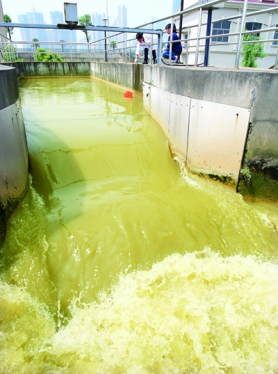 (5月7日,长沙市开福污水处理厂的工作人员正在取黄泥水样。记者 刘尚文 摄)