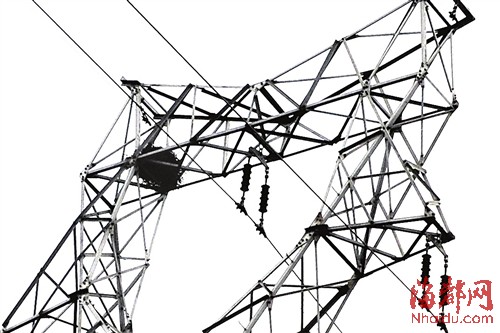 福州南方钢材市场内 巨大鸟巢藏身高压线塔|高