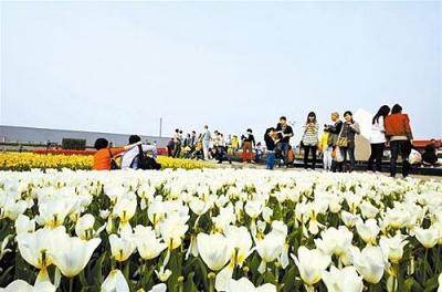 江夏旅游景点_武汉江夏地铁规划_武汉江夏地铁线路 ...