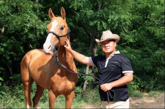 济南也有汗血宝马 最贵一匹3300万|宝马|普京