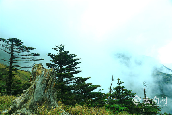 风景秀丽的药山