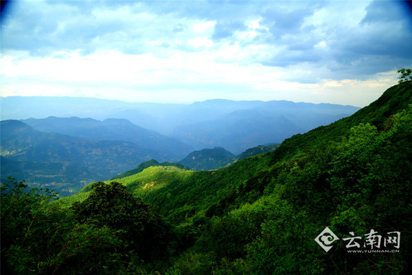 昭通巧家药山系列报道之三药山资源高清