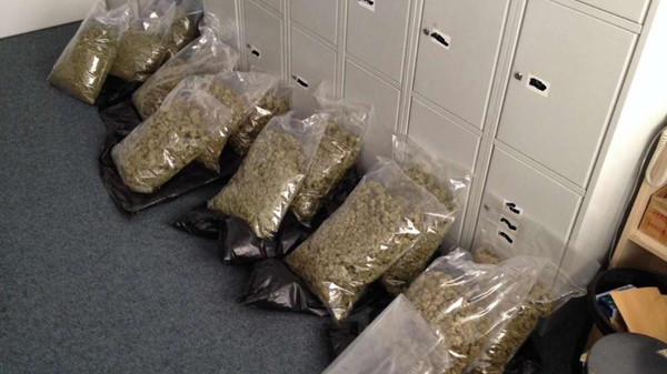 警方在制毒窝点查获的成品大麻,总重约7.5公斤