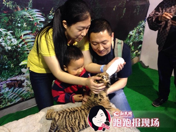 六一去上海野生动物园陪动物宝宝过节