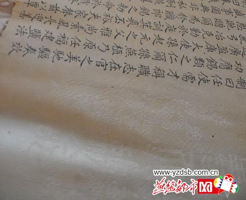 孙连保家圣旨上的龙纹