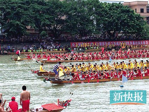 上下发力龙舟竞渡 东莞着力培育高质量单打