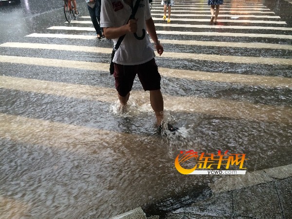 广州今日上午突降暴雨 部分路段积水严重|横穿
