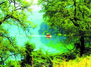 　　文县天池　　资料图片