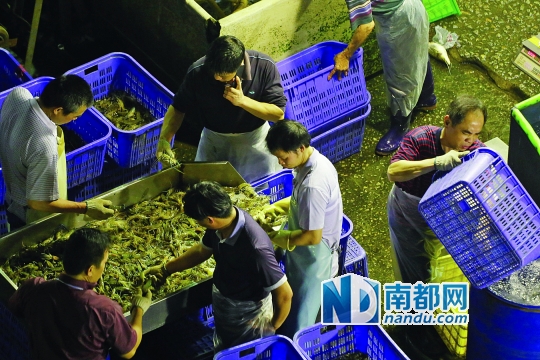 黄沙水产市场 20年繁华一梦|货车|游客