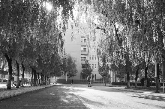 山西师范大学现代文理学院创新人才培养模式成