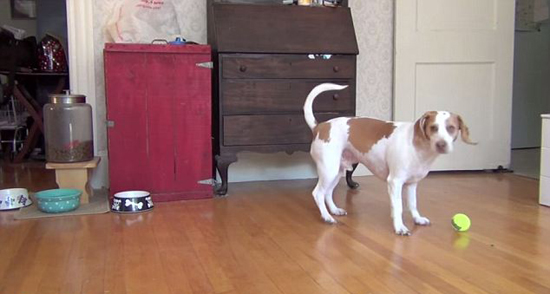 收到第一颗球时,玛依莫非常开心。