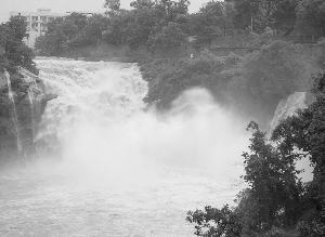 厄尔尼诺再度来袭影响几何|大豆|减产