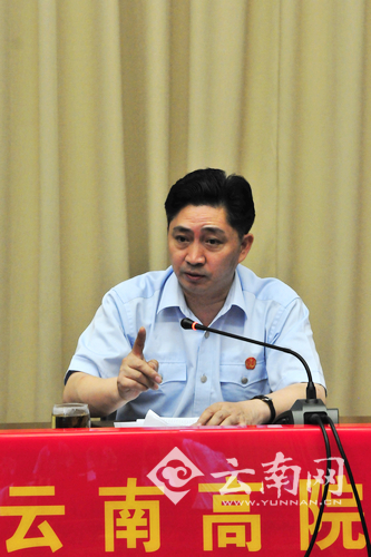 云南省高级人民法院副院长田成有