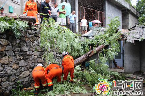消防正在紧急排险。酉阳消防供图 华龙网发
