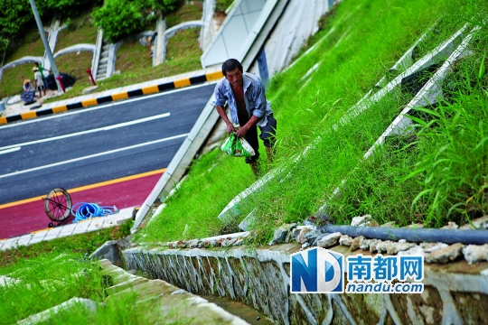 2014年7月27日。下午,深圳福田区,新彩隧道彩田路隧道口。工人正在对隧道口的护坡进行最后的完善。