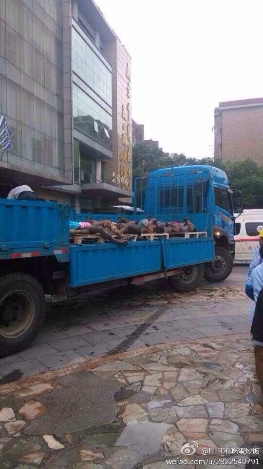 网友提供的爆炸现场图片