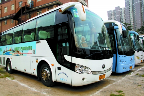 路涛:未来是一张薄薄的雅思证书|路仕达|旅行社