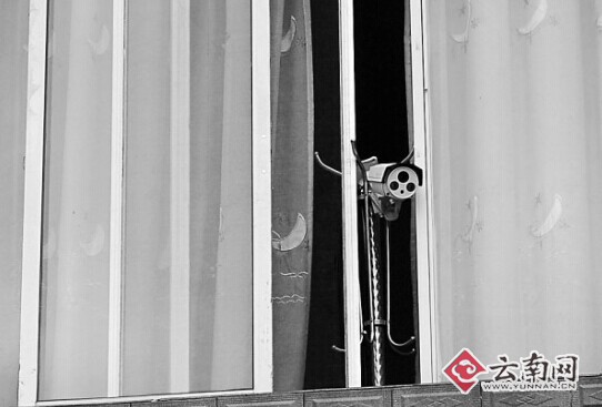 杨光家中设置的摄像头对准院子