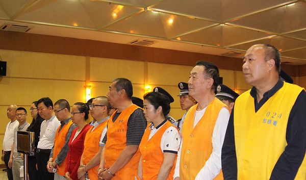 薄连根等受审资料图