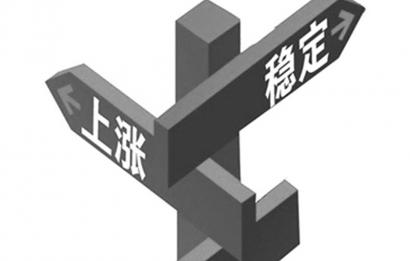 收入证明_基金管理费收入(3)