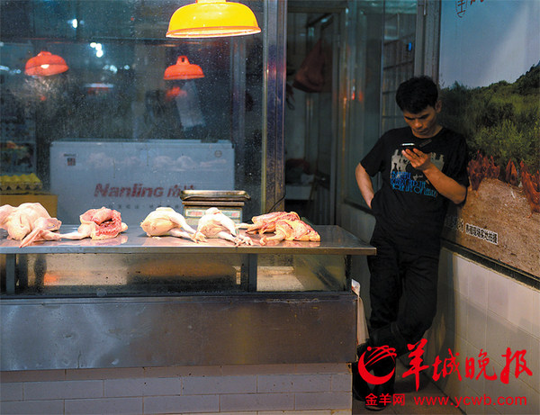 佛山普君市场生鲜鸡档口生意冷清