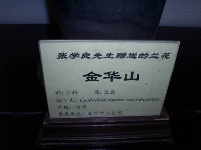 张学良与江泽民交往二三事