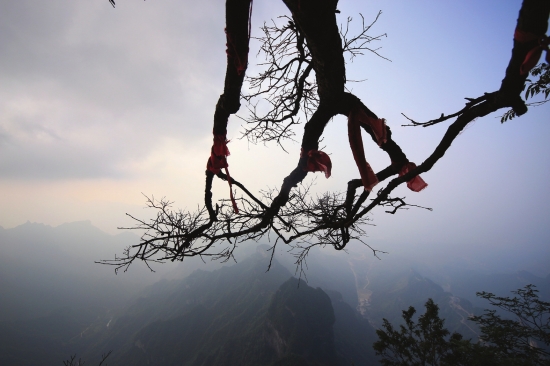 （张家界：奇山秀水，3100多座石峰耸立在土地上，其形态各异、变幻万千。）