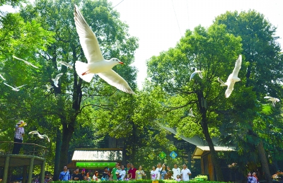 (2013年10月2日，长沙市岳麓山风景区，游客在长沙鸟语林游玩。 资料图片)