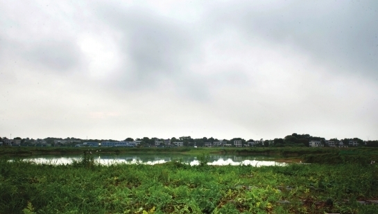 （7月1日，长沙望城区回龙村，天空城市项目工地上已成菜园。资料图）