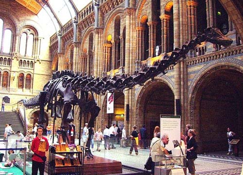 你的前世今生 英国伦敦博物馆之旅|博物馆|美术