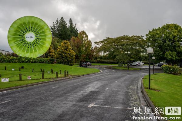 去新西兰北岛体验奇异果的魅力