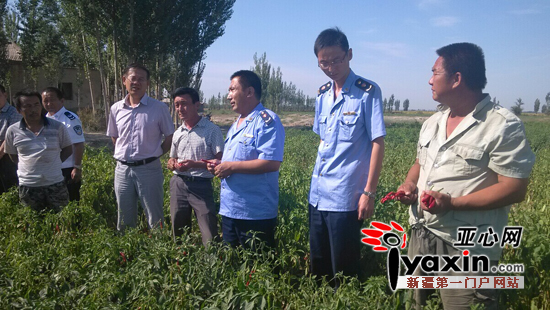 新疆各县市gdp沙湾县(3)