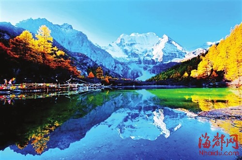 蓝天白云映红叶|旅游|红叶