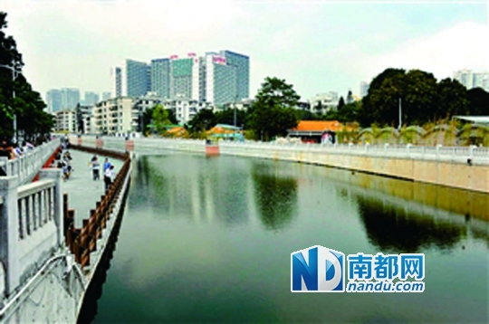 西乡河变清了。
