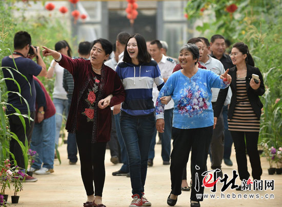 石家庄志愿者陪爸妈过双节(图)|采摘|赏花