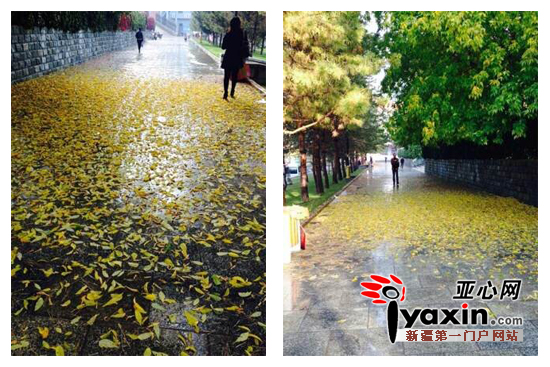 阿勒泰市民拍摄的图片。